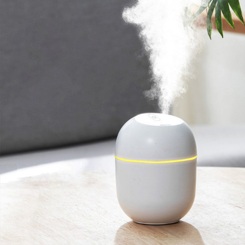 Mini Portable Humidifier With USB Charging
