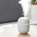 Mini Portable Humidifier With USB Charging