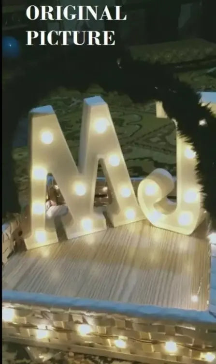 LED Alphabet Letter Night Light