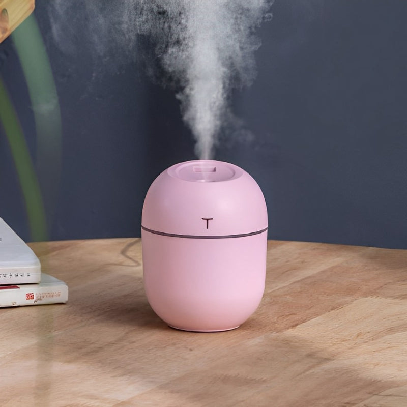 Mini Portable Humidifier With USB Charging